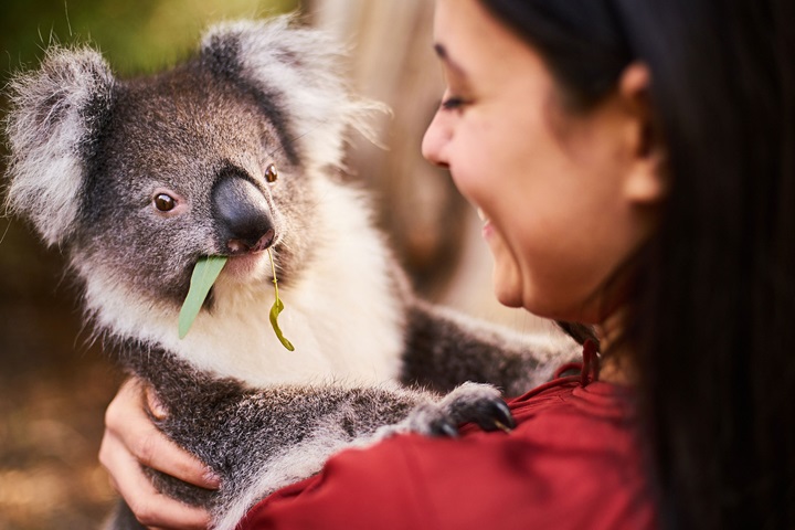 Cleland Wildlife Park, Adelaide Hills